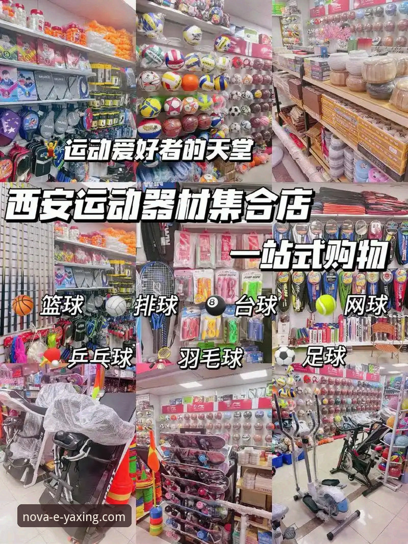 亚星体育平台一站式体验全面评测：从注册到下载的完整使用指南